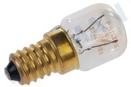 Zanker 1256508019 Wasdroger Lamp geschikt voor o.a. o.a. T35809, SK4540 10W 230V geschikt voor o.a. o.a. T35809, SK4540