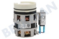 Mora 453854 Afwasautomaat Waterpomp geschikt voor o.a. GV6SY2W, GV54311 Circulatie geschikt voor o.a. GV6SY2W, GV54311