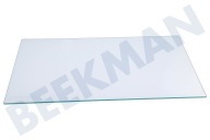 Husqvarna electrolux Koelkast 2649011042 Glasplaat geschikt voor o.a. SCS61400S2, ISANDE