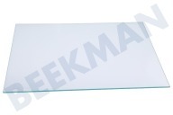 AEG 2249121043 IJskast Glasplaat Compleet geschikt voor o.a. AGS58800S1, FRYSA30282343
