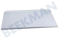 Electrolux 140166294011 IJskast Glasplaat Compleet geschikt voor o.a. KOLDGRADER, ISANDE, ENS6TE19S