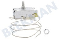 Aeg electrolux 2262146646 Vriezer Thermostaat geschikt voor o.a. SC418405, ZI9209 3 cont. K59-L2076 Ranco geschikt voor o.a. SC418405, ZI9209