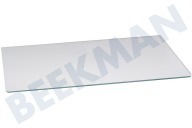 Smeg 481946678466 Koelkast Glasplaat geschikt voor o.a. KR30560,KR34562, 51,4x30cm  safeglass geschikt voor o.a. KR30560,KR34562,