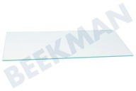 Bosch 704341, 00704341 Koelkast Glasplaat geschikt voor o.a. KGV36EI3106, KG36ECL4115