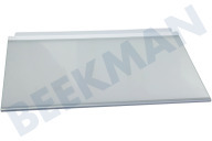 Junker 667750, 00667750 Koelkast Glasplaat geschikt voor o.a. K5754X1, KI25FA65