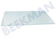 Beko 4362722800 IJskast Glasplaat geschikt voor o.a. SN140220, SS137020