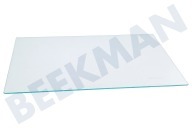 Cylinda 4362729100 Diepvriezer Glasplaat geschikt voor o.a. FN130930, FNE290E20