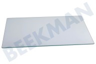 LG 4561812000 Koelkast Glasplaat Groentelade geschikt voor o.a. DSA28010, SSA15000