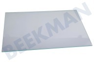 Beko Koelkast 4299893600 Glasplaat geschikt voor o.a. SSE26006, SSE26026