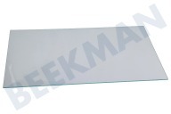 Teka 4655591000 Vriezer Glasplaat geschikt voor o.a. KDSA2430WN, BLSA16020S, GSMI20330N