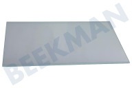 Beko 4629840500 Vriezer Glasplaat geschikt voor o.a. RBI6301LH, KD1440