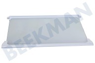 Teka 4629850700 Vriezer Glasplaat geschikt voor o.a. CBI7771, BC73FC