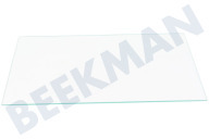 Beko 4214903500 Koelkast Glasplaat geschikt voor o.a. SSE26006, RBI6306