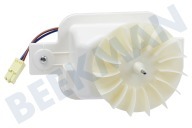 Ventilator geschikt voor o.a. GNEV322PX, CNA32520, KWD9440X Boven, compleet