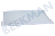 Pelgrim 163336  Glasplaat geschikt voor o.a. RFI4274W, RK4295W Compleet, incl. strippen geschikt voor o.a. RFI4274W, RK4295W