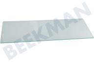Smeg 115502 Vriezer Glasplaat geschikt voor o.a. HZS276608, HS296603 52,5x20,4cm geschikt voor o.a. HZS276608, HS296603