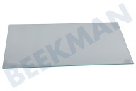 Liebherr 7271839  Glasplaat geschikt voor o.a. GPesf147620, GP137620 Klein, Veiligheidsglas geschikt voor o.a. GPesf147620, GP137620
