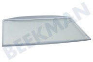 Ignis C00517595 Koelkast Glasplaat geschikt voor o.a. WM1500, KRA1601, WBE2311 460x310mm. Compleet met randen geschikt voor o.a. WM1500, KRA1601, WBE2311
