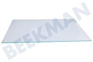 Ikea IJskast 481010826635 Glasplaat geschikt voor o.a. ARG18015A, ZSIN1801AA