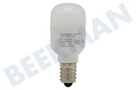 Hotpoint-ariston C00563962 IJskast Lamp geschikt voor o.a. ARGR715S, KG301WS, WBM3116W