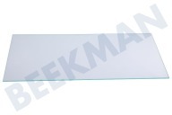 Pelgrim IJskast 409794 Glasplaat geschikt voor o.a. PKV4180WITP01, PKV5180RVSP09