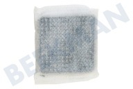 Samsung DA0290106R DA02-90106R  Filter geschikt voor o.a. RSJ1KEMH, RSH7UNRS, RS7567BHCBC Hygienefilter geschikt voor o.a. RSJ1KEMH, RSH7UNRS, RS7567BHCBC