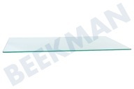 Zanussi 2249013018 Koelkast Glasplaat geschikt voor o.a. ZBA6190, ERN23510 476x300mm. geschikt voor o.a. ZBA6190, ERN23510