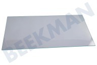 Seppelfricke 2249020047 Diepvriezer Glasplaat geschikt voor o.a. ZBB24430SA, SCS51400S1