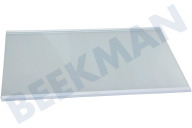 Etna HK1995850 Koelkast Glasplaat geschikt voor o.a. RK4181PS4, R4142PW, R4142PS Compleet geschikt voor o.a. RK4181PS4, R4142PW, R4142PS