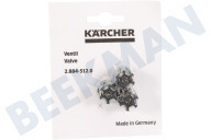 Karcher 28845120  2.884-512.0 Ventiel geschikt voor o.a. HDS995SXEU, FT700TSEU