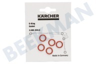 Karcher 28809900 Hogedruk O-ring geschikt voor o.a. HDS580, HDS760 O-ringen set 5 stuks van pistoolgreep of jet pipe geschikt voor o.a. HDS580, HDS760