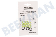 Karcher 28800010 2.880-001.0  O-ring Set geschikt voor o.a. HDS995SXEU, PROHD200EU