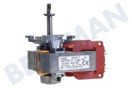 Zanussi 3890813045 Micro Oven-Magnetron Motor Hete Lucht geschikt voor o.a. DE401302, BP3103001