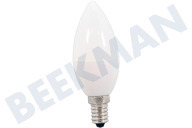 Electrolux 140215962014 Afzuiger Lamp geschikt voor o.a. DPB3631S, LFP326W