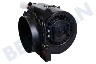 Etna 572884 Dampafzuiger Motor geschikt voor o.a. AB160RVSE01 Compleet geschikt voor o.a. AB160RVSE01