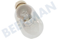 Pelgrim 20711 Microgolfoven Lamp geschikt voor o.a. MAG565, MAG565RVS Van magnetron 40W geschikt voor o.a. MAG565, MAG565RVS