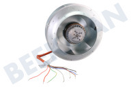 Novy 6830083 Dampkap Afzuigkapmotor geschikt voor o.a. D7559991, D7459991