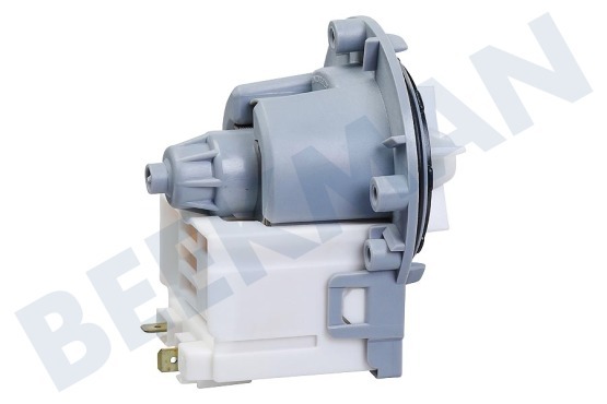 Unknown (p-trx) Waschmaschine Pumpe Magnet -Askoll-