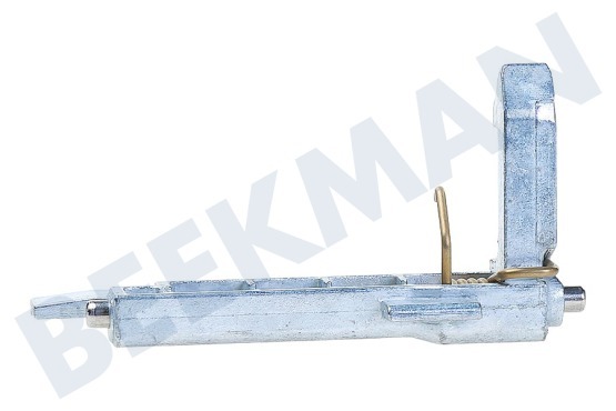 Siemens Wasmachine 623234, 00623234 Deurhaak Met veer