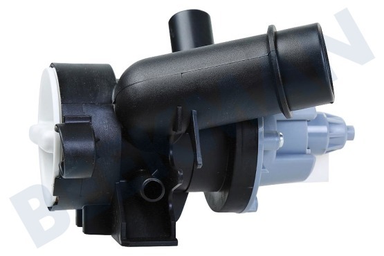 Caple Waschmaschine Pumpe Ablaufpumpe