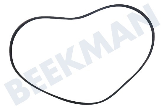 Indesit Wasmachine 119126, C00119126 Snaar 6PJE 1201
