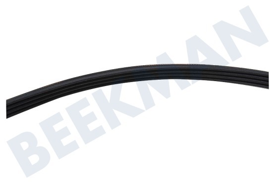 Indesit Wasdroger Poly-V-snaar 4PJE 1236 TEM