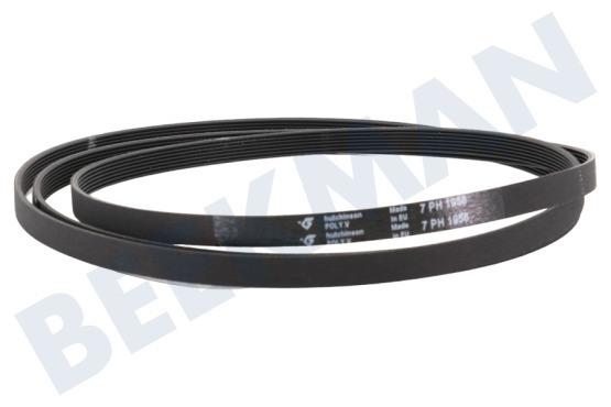 Gorenje Wasdroger Poly-V-snaar 7PH 1956 Hutchinson