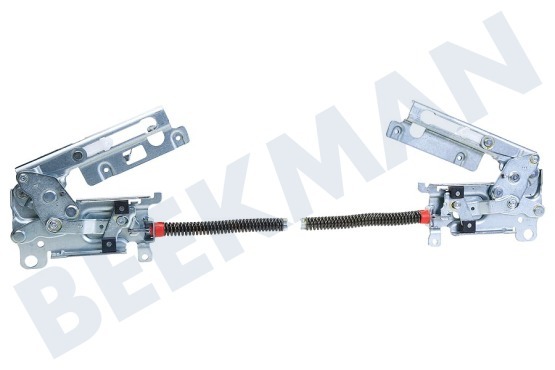 Electrolux Vaatwasser Scharnier Van deur, links en rechts
