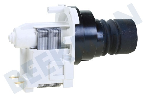 Electrolux Vaatwasser Pomp Afvoer, Magneet, inclusief rubber tuit en terugslag klep