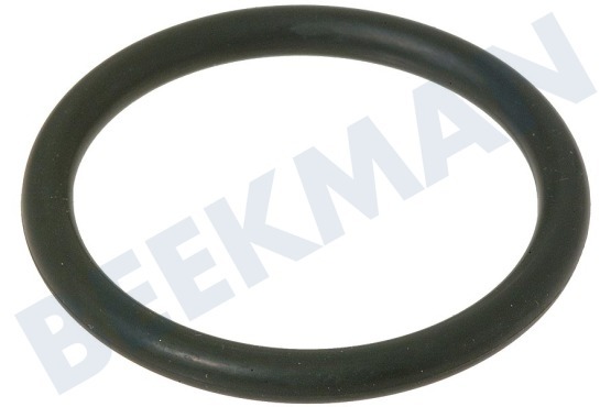 Hotpoint Vaatwasser 84600, C00084600 Rubber O-ring sproeiarmgeleiding