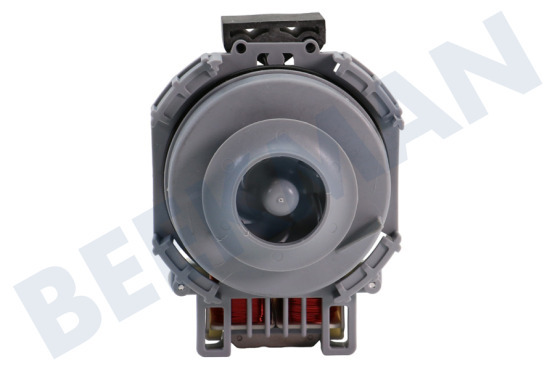 Indesit Vaatwasser 303737, C00303737 Pomp Circulatie -Askoll-