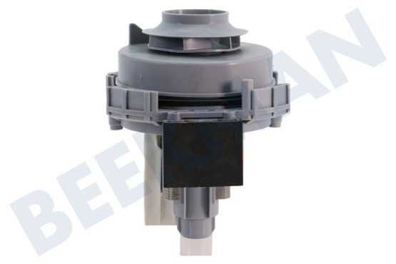 Indesit Vaatwasser 303737, C00303737 Pomp Circulatie -Askoll-