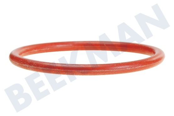Bosch Vaatwasser 614930, 00614930 Afdichtingsrubber Van deksel zeoliet container