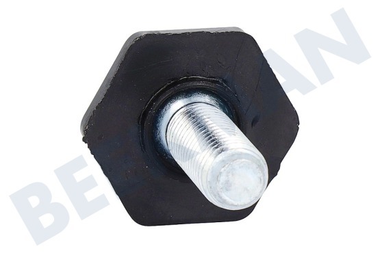 Bauknecht Vaatwasser C00326371 Stelpoot